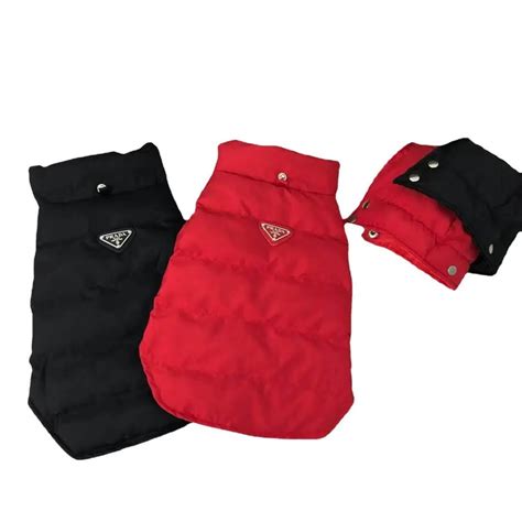 prada pet jacket
